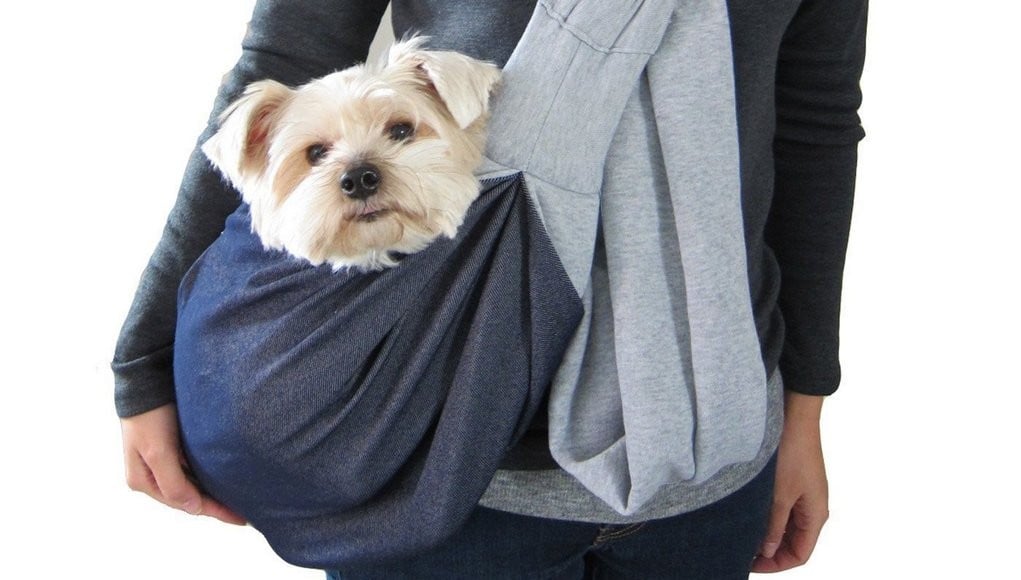 backpack to hold dog