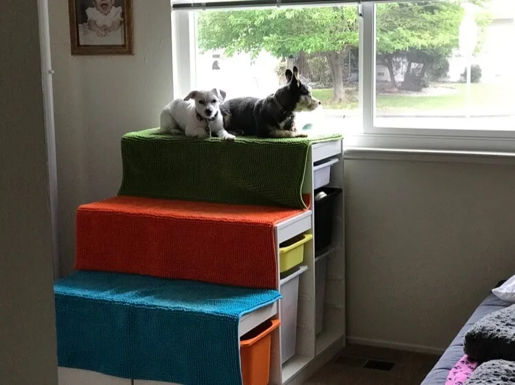 Dog Window Seat, Step & Storage in One