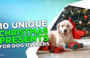10 Unique Christmas Presents for Dog Owners 10 Unique Christmas Presents for Dog Owners