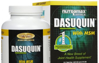 Nutramax Dasuquin with MSM for Large Dogs Review Nutramax Dasuquin with MSM for Large Dogs Review