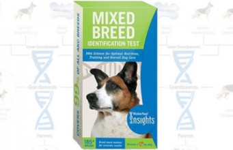 Wisdom Dog DNA Test Kit Review: Mixed Breed of Dogs Wisdom Dog DNA Test Kit Review Mixed Breed