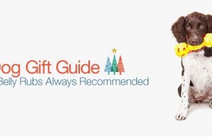 6 Best Christmas Gifts for Dogs: List of Ideas