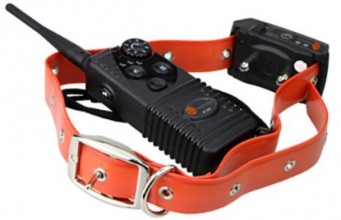 TaoTronics Electric Collar for Dogs Review TaoTronics Electric Collar for Dogs Review