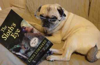 Top 3 Best Dog Training Books You’ll Ever Need Best Dog Training Books