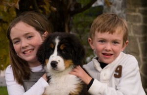 Best Dog for Kids: Safe and Fun Breeds Best Dog for Kids Safe and Fun Breeds featured image
