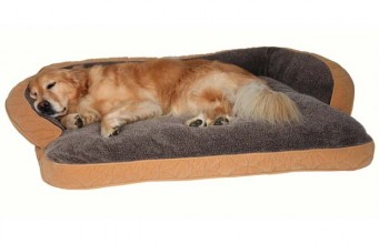 15 Best Dog Beds on Sale for Small Dogs & Big Dogs Top 5 Best Dog Beds that Last Forever