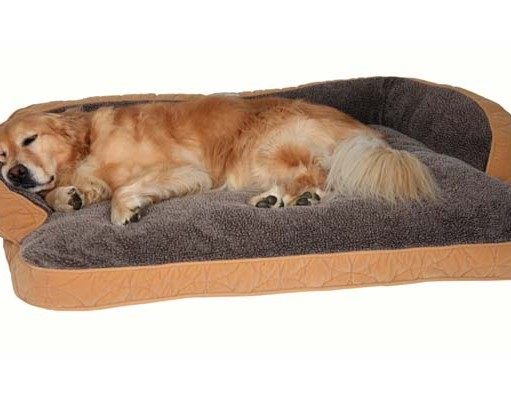 15 Best Dog Beds on Sale for Small Dogs & Big Dogs Top 5 Best Dog Beds that Last Forever
