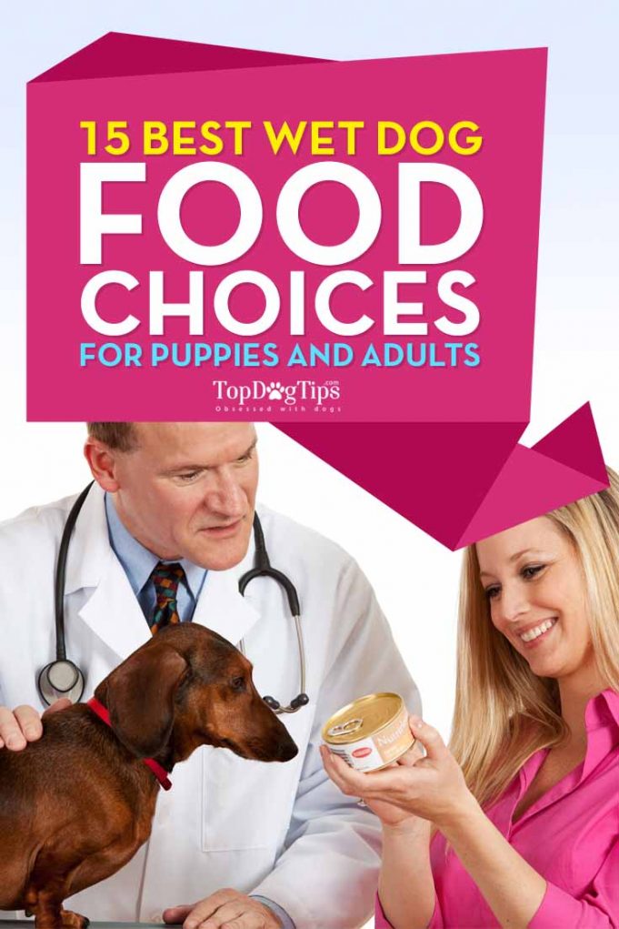 Top 20 Best Wet Dog Food Brands for Puppies & Adult Dogs