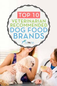 18 Vet Recommended Dog Food Brands: Dry and Wet [Updated] (2022)