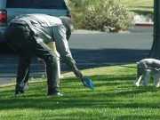 Bensie Boy Dog Waste Bags Helping to Stop Issues in Minnesota Bensie Boy Dog Waste Bags Helping to Stop Issues in Minnesota