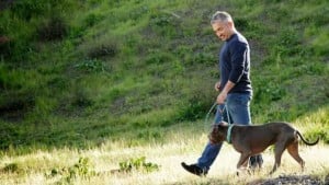 Best Dog Whisperer Tips from Cesar Millan