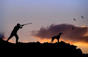 30 Best Hunting Dogs for All Types of Game Best Hunting Dogs for All Types of Game Hunting