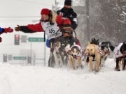 Dog Sled Technology is Getting an Upgrade Dog Sled Technology is Getting an Upgrade