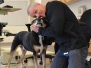 Dog Used to Sniff Out Thyroid Cancer Dog Used to Sniff Out Thyroid Cancer
