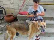 Police Dispatcher Adopts Dog After Owner Dies Police Dispatcher Adopts Dog After Owner Dies