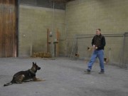 Police Officer Helps Start Dog Training Association Police Officer Helps Start Dog Training Association