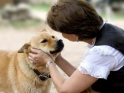Study Shows Dogs Understand Our Words Not Just Our Voices Study Shows Dogs Understand Our Words Not Just Our Voices