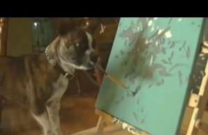 Minnesota Rescue Dog Paints Like Picasso