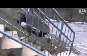 Robot Dog Built by Boston Dynamics