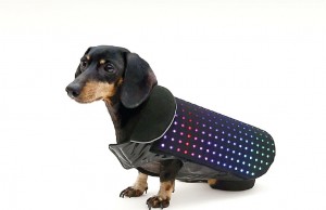 Dog Vest with App Controlled LED Lights