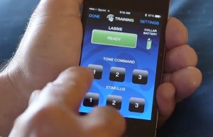 This Remote Dog Collar Lets You Control Your Dog’s Behavior with Your Smart Phone