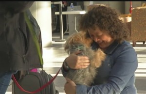 Dog Missing for 5 Months Returns Home