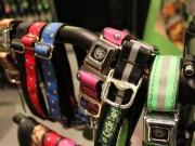 Cycle Dog is an Earth Friendly Pet Company Cycle Dog is an Earth Friendly Pet Company