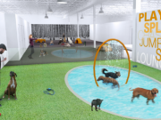 Dog Hotel Offers Pups the VIP Treatment Dog Hotel Offers Pups the VIP Treatment