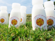 Japanese Goat Milk Specially Made for Dogs Japanese Goat Milk Specially Made for Dogs