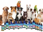 New Ecommerce Site Being Launched by Marshall Pet Products New Ecommerce Site Being Launched by Marshall Pet Products