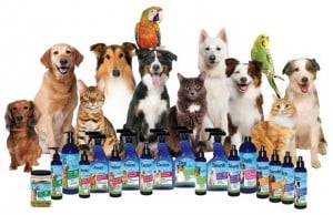 New Ecommerce Site Being Launched by Marshall Pet Products New Ecommerce Site Being Launched by Marshall Pet Products