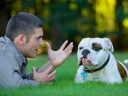 New Technology Helps Us Understand What Dogs Are Trying to Tell Us New Technology Helps Us Understand What Dogs Are Trying to Tell Us