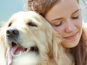 Owners Report Great Results From New Dog Arthritis Supplement Owners Report Great Results From New Dog Arthritis Supplement