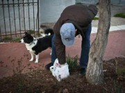 Owners That Don’t Scoop Could Be Caught By DNA Evidence Owners That Don't Scoop Could Be Caught By DNA Evidence