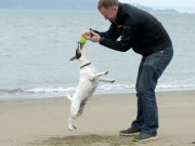 Paww is Trying to Reinvent the Dog Toy With the Help of Crowdfunding Paww is Trying to Reinvent the Dog Toy With the Help of Crowdfunding