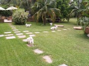 Pet Accommodation Company Expanding Pet Accommodation Company Expanding