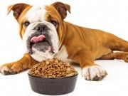 Pet Food Market is Being Taken Over By Human Food Companies Pet Food Market is Being Taken Over By Human Food Companies