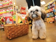 Pet Valu Doing $4 Million Overhaul to Jack’s Pets Locations Pet Valu Doing $4 Million Overhaul to Jack's Pets Locations