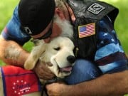 Petition is Circling to Crack Down on the Sale of Fake Service Dog Products Petition is Circling to Crack Down on Fake Service Dog Products