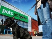 Pets at Home Stores Under Fire for Grooming Services Pets at Home Stores Under Fire for Grooming ServicesPets at Home Stores Under Fire for Grooming Services