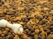 Senators Want FDA to Crack Down on Pet Food Oversight Senators Want FDA to Crack Down on Pet Food Oversight