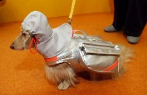 Pre-Packed Pet Emergency Evacuation Jacket is a Must Have The Pre-Packed Pet Emergency Evacuation Jacket is a Must Have