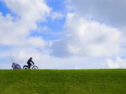 The Best Dog Bicycle Trailers The best dog trailer for bike and bicycles