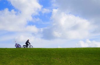 The Best Dog Bicycle Trailers The best dog trailer for bike and bicycles