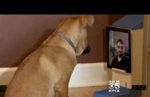 Teen Invents Technology That Lets You Video Chat With Your Dog