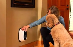 PetChatz: A New Way to Stay in Touch With Your Pet When You’re Gone