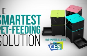 Amazing New Smart Feeder is a Must-Have