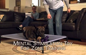 Treat Dispensing Toy From Starmark Stands Out From the Crowd