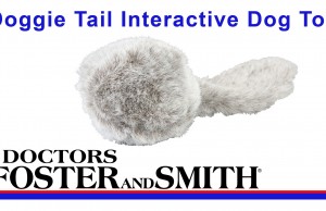 Keep Your Dog Busy With This Motion Activated Toy