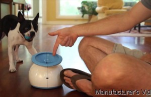 The iFetch Dog Toy Allows Your Dog to Play When You’re Not Home